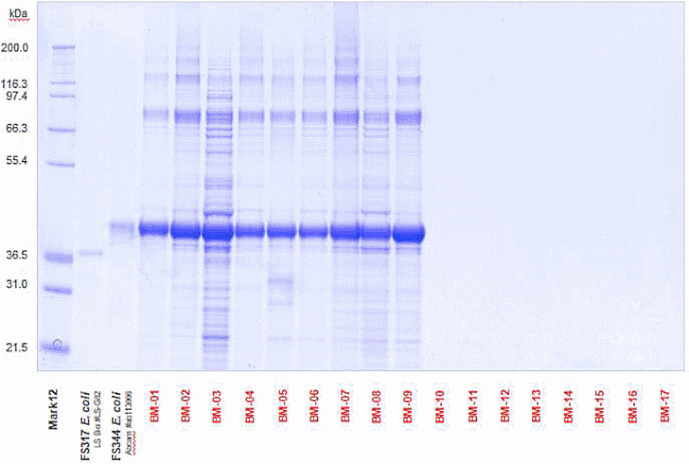 fs344-tests