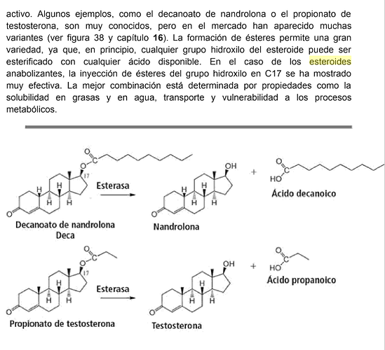 Screenshot_2020-06-10 Esteroides anabolizantes(1)
