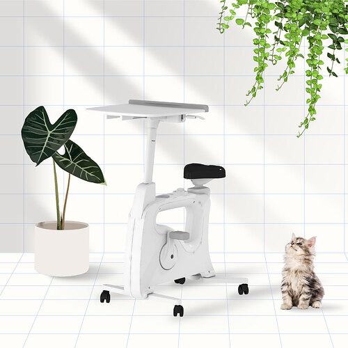 Flexispot-Malaysia-All-in-One-Desk-Bike-V9