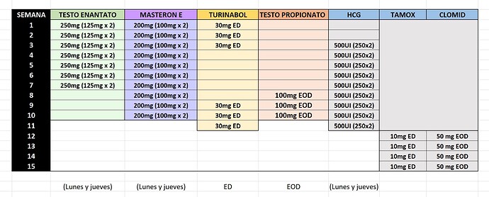 ciclo test, maste y turi