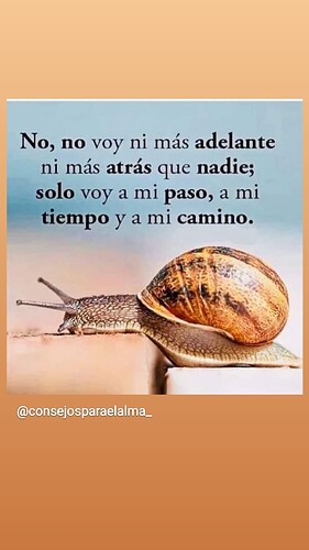 IMG_20220203_123139_851