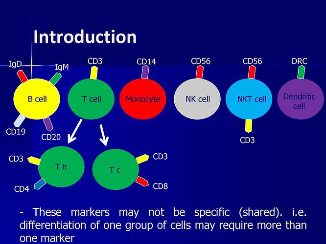 Introduction+CD3.+CD14.+CD56.+CD56.+DRC.+IgD.+IgM.+Dendritic.+cell.+B+cell.+T+cell.+Monocyte.