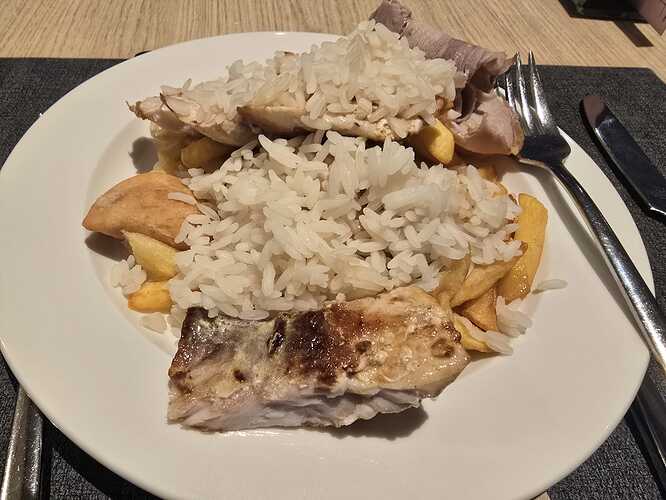 plat1