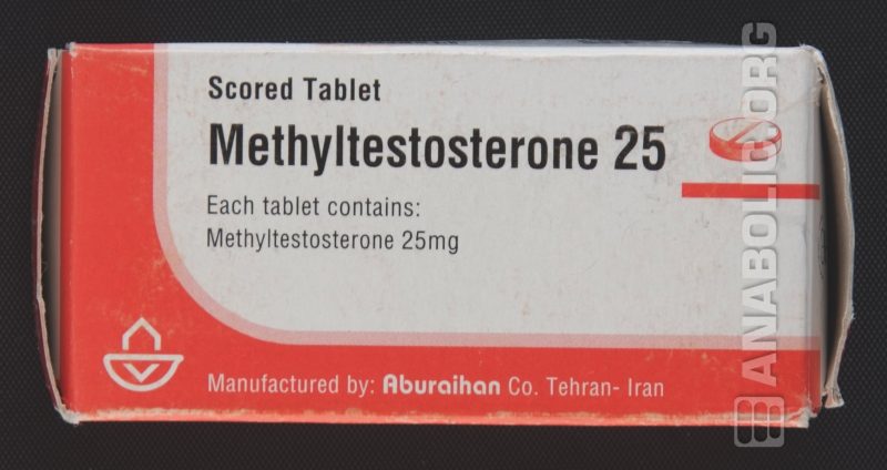 methyltestosterone-dscf0419-copy-800x424