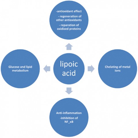 acido-alfa-lipoico