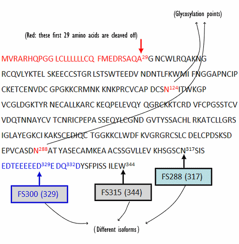 fs344-structure