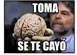 descarga (10)