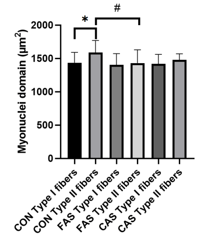 myonuclei-domain-and-muscle-type