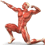 joseportu