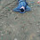 torpecito_ruben_robi